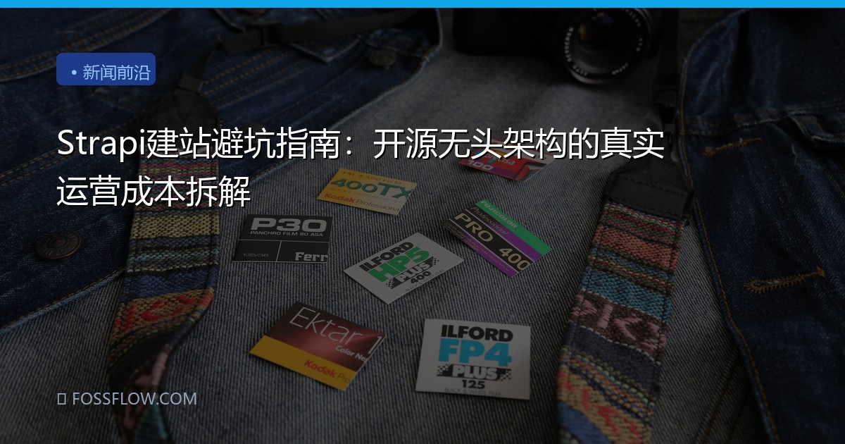 Strapi建站避坑指南：开源无头架构的真实运营成本拆解